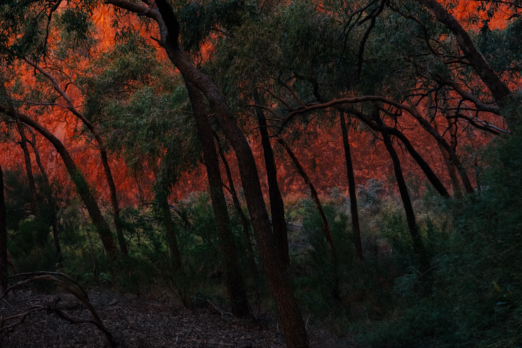 Photograph by Agustin Sanchez